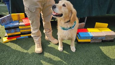 Photo of Bolivianos trasladaban mil millones en droga