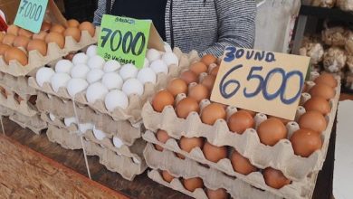 Photo of Salud advierte por huevos de contrabando en el país