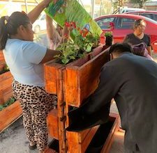 Photo of Vecinos hermosean sus calles con jardineras recicladas