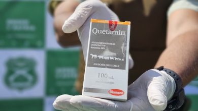 Photo of Ketamina: un negocio criminal en expansión. Incautaciones de esta droga se triplicaron