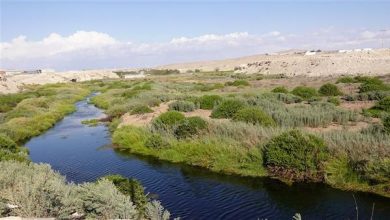 Photo of Se admiten a trámite dos reclamaciones en contra de la declaratoria del Humedal Urbano del río Loa