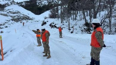 Photo of Ejército de Estados Unidos conoce en terreno las faenas del Cuerpo Militar del Trabajo al sur del mundo
