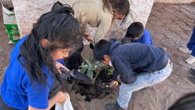 Photo of Serpat Antofagasta inicia celebración del Centenario del Consejo de Monumentos Nacionales