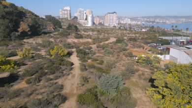 Photo of Segundo Tribunal Ambiental concluyó que la autoridad ambiental realizó una correcta evaluación del proyecto de saneamiento de Las Salinas
