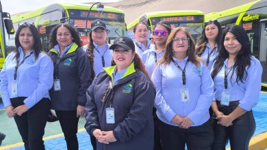 Photo of Arica suma la primera flota de buses eléctricos al transporte público