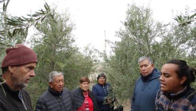 Photo of INDAP impulsa fortalecimiento de agricultura familiar campesina mediante el intercambio de experiencias