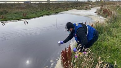 Photo of Dirección General de Aguas del MOP lleva más de mil fiscalizaciones resueltas en 2025, casi el doble que en la misma fecha de 2022