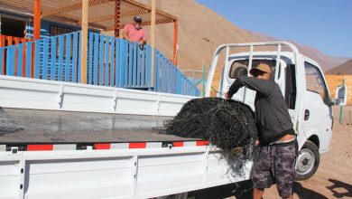 Photo of Pescadores y algueros de Tocopilla recibieron vehículo para trasladar huiro
