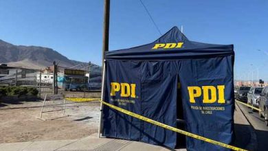 Photo of PDI investiga la muerte de mujer y su perro