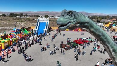 Photo of Más de 15 mil personas disfrutaron de “Kuy Kuy, aprende, juega y diviértete”