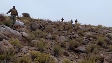 Photo of Cargando 40 kilos cada uno: detectan nueva incautación de drogas por pasos fronterizos de la región
