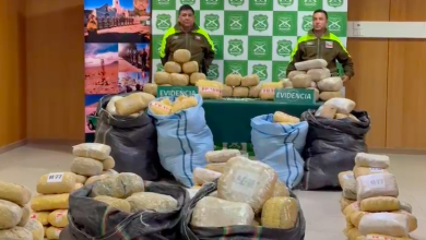 Photo of Carabineros encuentra más de 400 kilos de droga en la frontera de Toporcuri