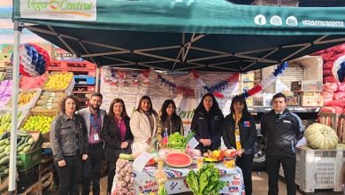 Photo of Canasta dieciochera: Autoridades presentan opciones de compra y cotización de alimentos para Fiestas Patrias