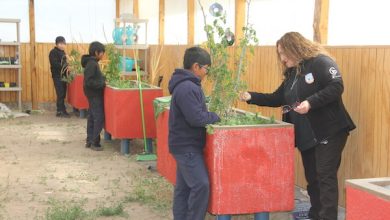 Photo of Fondo Escolar de Minera El Abra fortalece la educación y rescata la cultura en Caspana