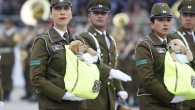 Photo of ¿Qué día y a qué hora es la Parada Militar 2025?