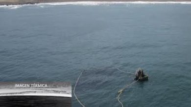 Photo of Condenan a armadora y patrón de nave por operaciones de pesca con arte de cerco en primera milla marítima
