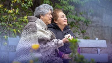 Photo of Mejores pensiones en septiembre: PGU sube a $250.000 y se suma Aguinaldo de Fiestas Patrias