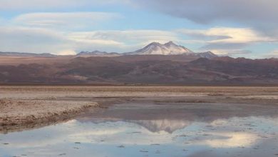 Photo of SQM reducirá al 50% el uso de agua continental en el Salar de Atacama