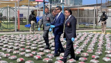 Photo of En sólo 24 horas, Fiscalía y PDI incautan 1.300 kilos de drogas y dan duro golpe al crimen organizado en la región