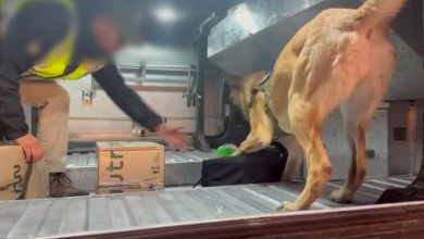 Photo of Cerco al tráfico de drogas. Fiscalía formalizó a cuatro sujetos detenidos durante controles preventivos