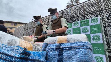Photo of INCAUTAN MÁS DE 4 MIL MILLONES DE PESOS EN DROGA