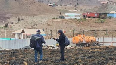 Photo of Fiscalización de Sernapesca y el SII detecta 2,4 toneladas de huiro negro extraído ilegalmente en Taltal