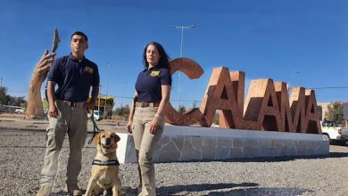 Photo of PDI anuncia creación de Agrupación de Delitos Sexuales en Calama