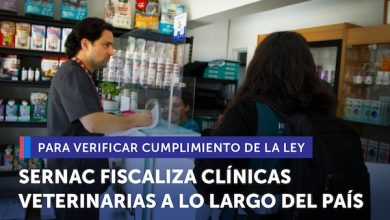 Photo of SERNAC FISCALIZA CLÍNICAS VETERINARIAS A LO LARGO DEL PAÍS PARA VERIFICAR CUMPLIMIENTO DE LA LEY