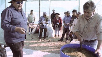 Photo of Agricultores de Lasana podrán elaborar sus propios fertilizantes naturales en nueva biofábrica comunitaria