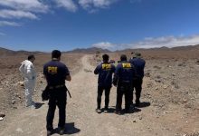 Photo of Jauria de perros mató a ciclista