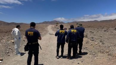Photo of Jauria de perros mató a ciclista