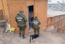 Photo of Carabineros refuerza su presencia territorial con operativo puerta a puerta en campamentos Génesis I y Génesis II