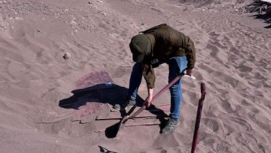 Photo of Carabineros logra recuperar millonario robo de cobre en cátodos enterrados en el desierto