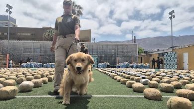 Photo of CARABINEROS DE ANTOFAGASTA REFUERZA ESTRATEGIA OPERATIVA CONTRA EL CRIMEN ORGANIZADO