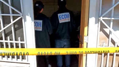 Photo of Fiscalía formalizó a chileno de 37 años por homicidio calificado y parricidio frustrado