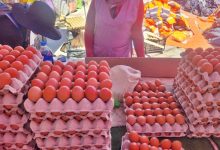 Photo of CASI MIL HUEVOS DECOMISADOS EN FERIA ROTATIVA