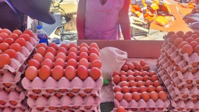 Photo of CASI MIL HUEVOS DECOMISADOS EN FERIA ROTATIVA