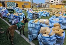 Photo of Región concreta la incautación de drogas más grande de su historia: 4 toneladas de marihuana