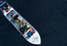 Photo of Sectores de la pesca artesanal celebran recomendación del Comité Científico de aumentar la veda de la merluza austral