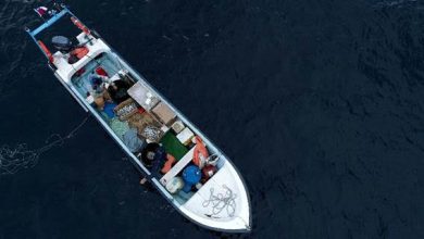 Photo of Sectores de la pesca artesanal celebran recomendación del Comité Científico de aumentar la veda de la merluza austral