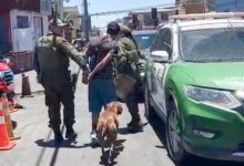 Photo of Baratas, fecas de roedor y comercio sexual clandestino: operativo en Calama termina con tres locales clausurados y un detenido