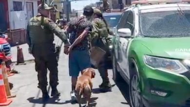 Photo of Baratas, fecas de roedor y comercio sexual clandestino: operativo en Calama termina con tres locales clausurados y un detenido