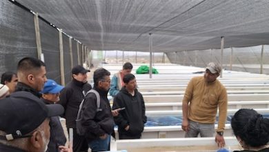 Photo of Minera El Abra fortalece capacidades de pescadores de Tocopilla con pasantía técnica a Tongoy