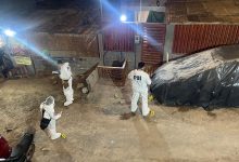 Photo of Cuatro detenidos y un extraditado por doble homicidio en campamento de Antofagasta