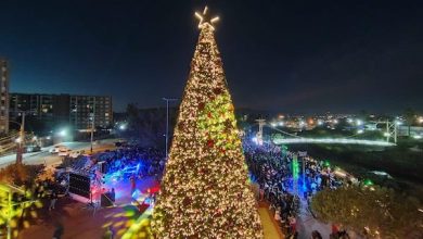 Photo of Calama tiene el árbol navideño más grande del país