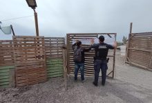 Photo of Sernapesca Antofagasta cumplió con fallo condenatorio a planta transformadora por la posesión de huiro negro extraído ilegalmente