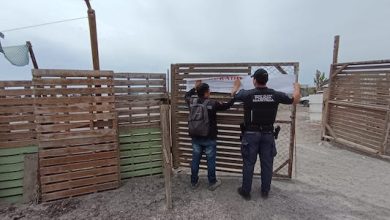 Photo of Sernapesca Antofagasta cumplió con fallo condenatorio a planta transformadora por la posesión de huiro negro extraído ilegalmente