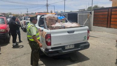 Photo of Más de 2 toneladas de carnes decomisaron en la Feria Rotativa de Calama