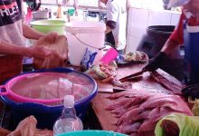 Photo of Clausuras y sumarios sanitarios a pescaderías en Antofagasta