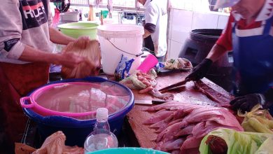 Photo of Clausuras y sumarios sanitarios a pescaderías en Antofagasta